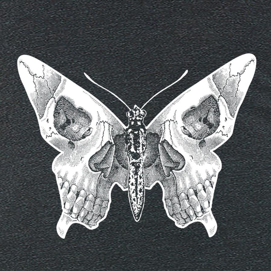 image of the butterfly skull